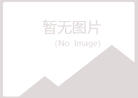 河池夏青音乐有限公司